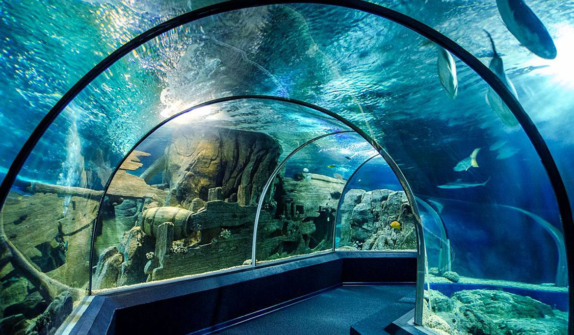 The Oceanarium